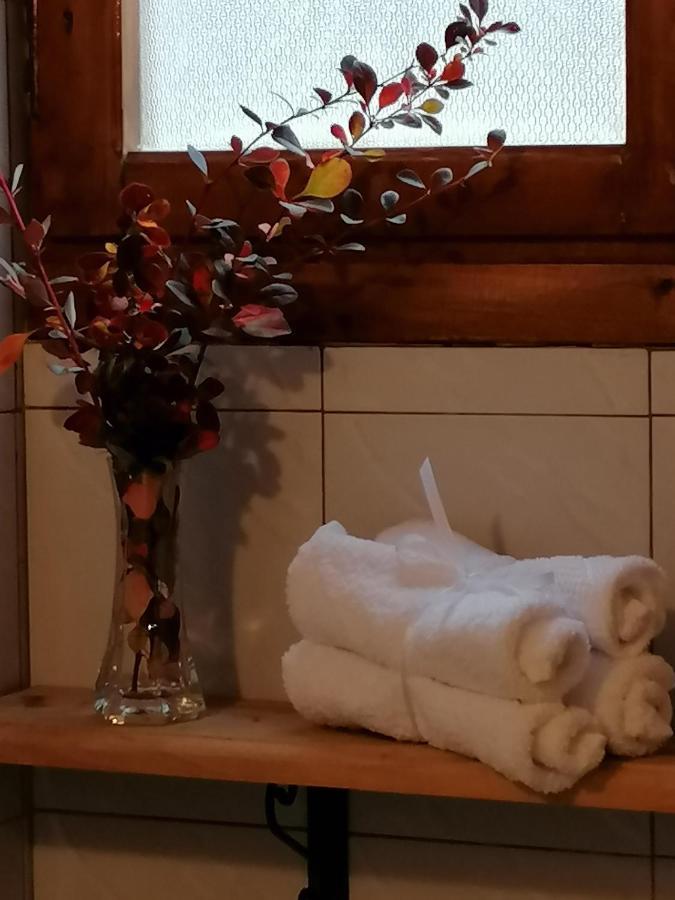 Ξενώνας Το Πατρικό Karya Buitenkant foto